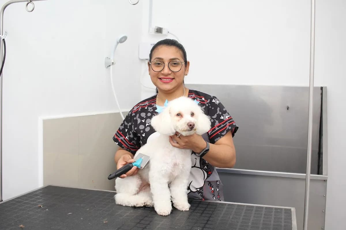 Animalis Veterinaria