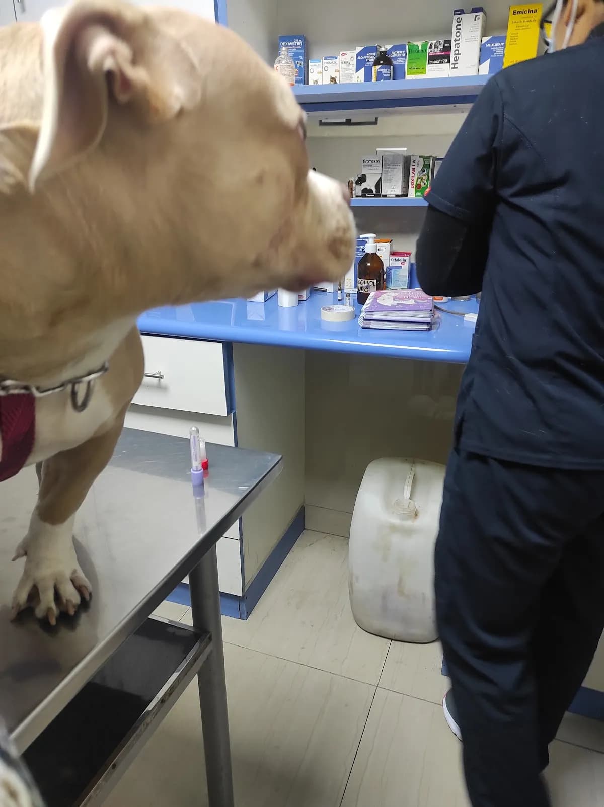 Veterinaria Unidas SJL