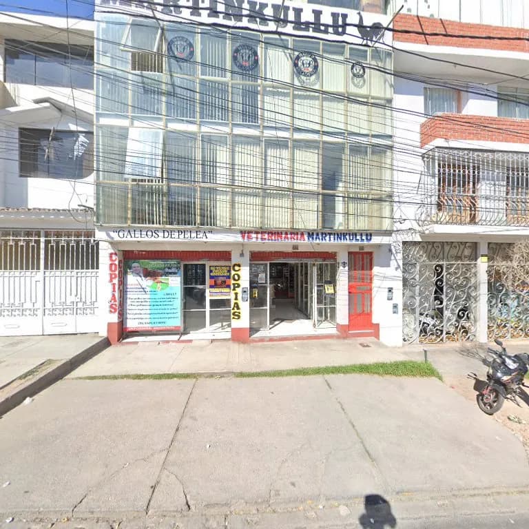 Martinkullu