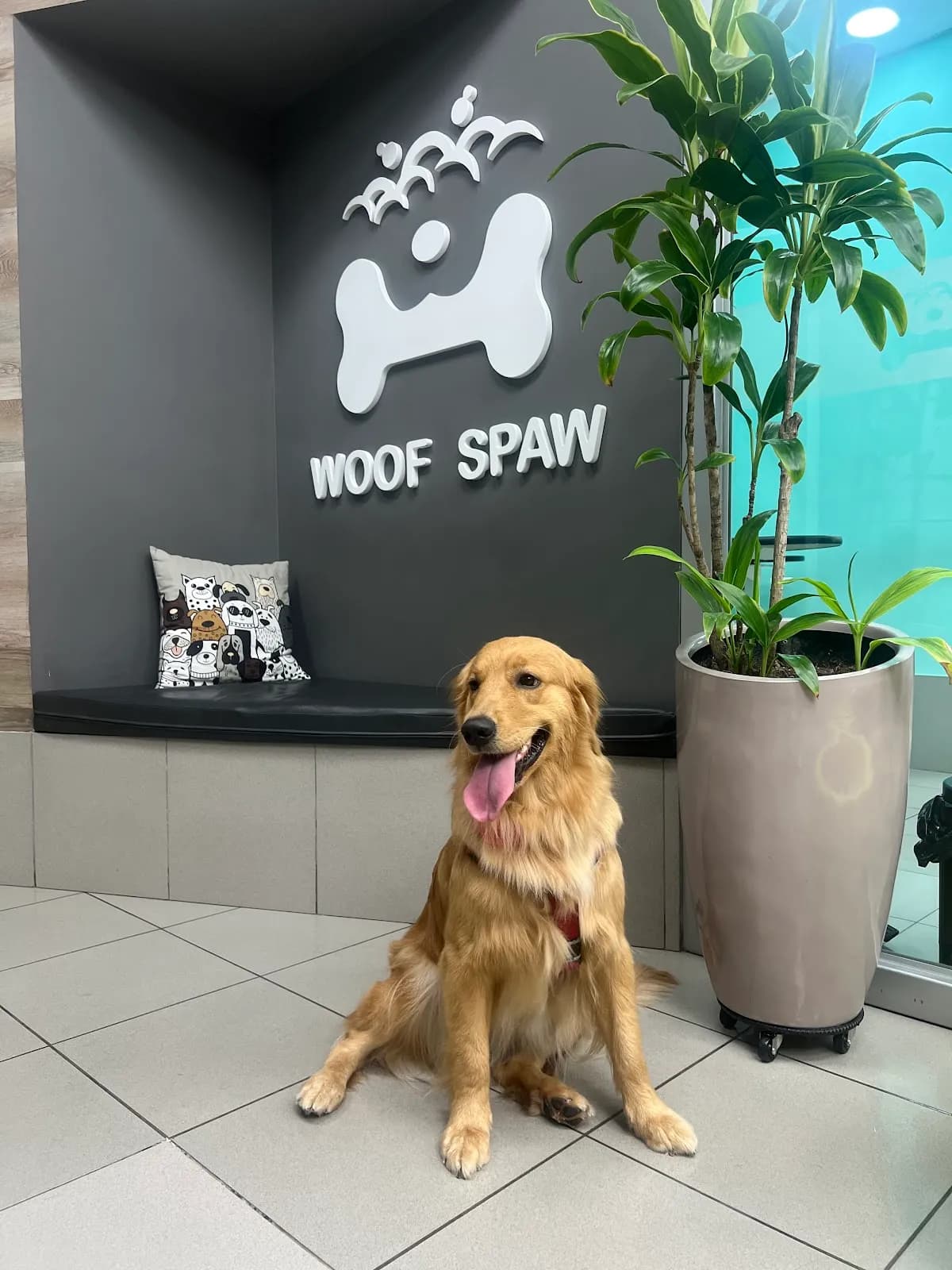 Woof Spaw - San Isidro