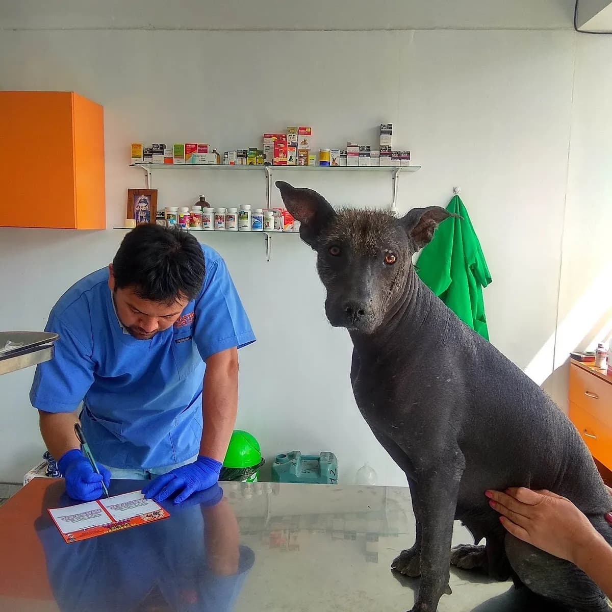 Vet.Master