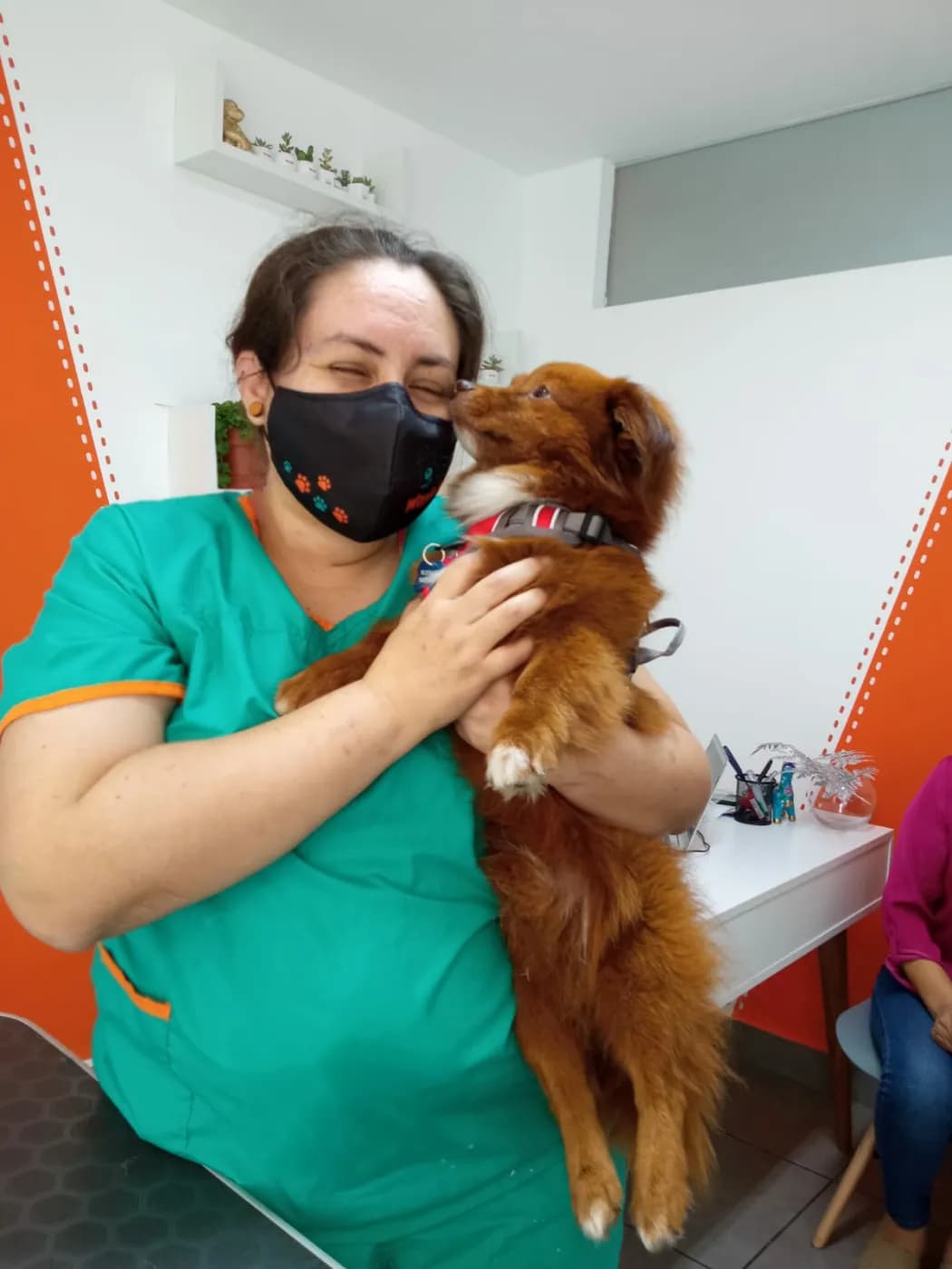 Waykis Pet
