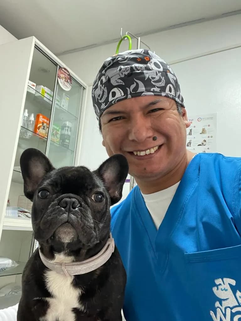 Wau Veterinaria