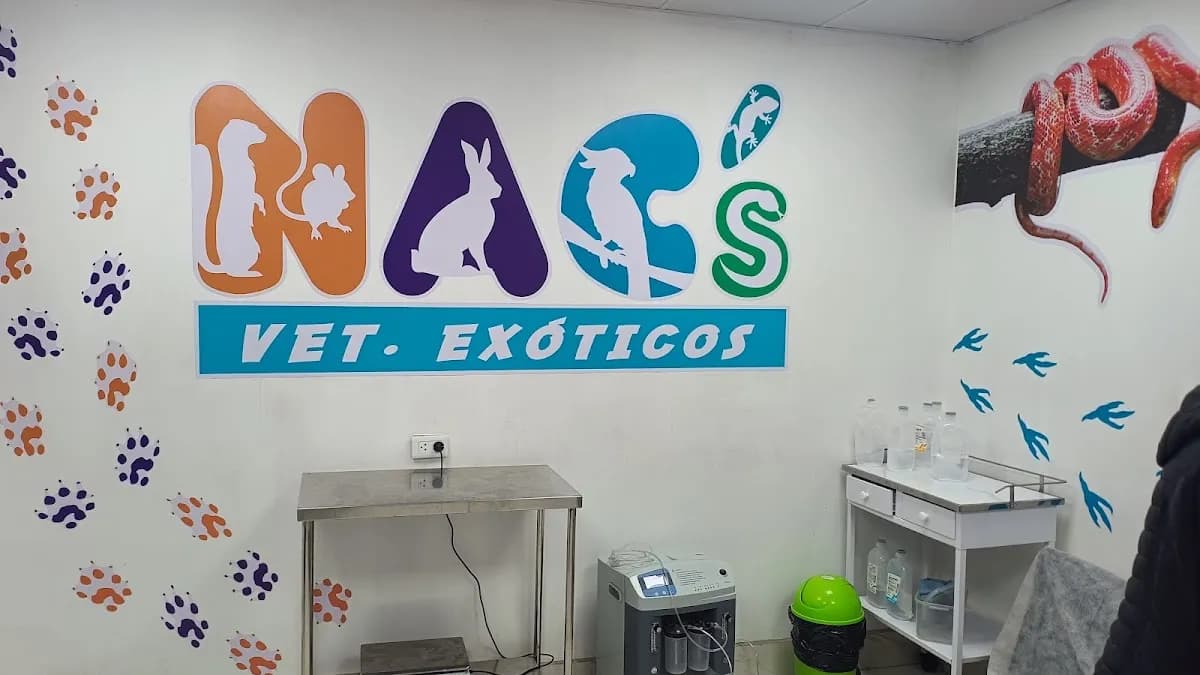 NAC's AQP-Exóticos