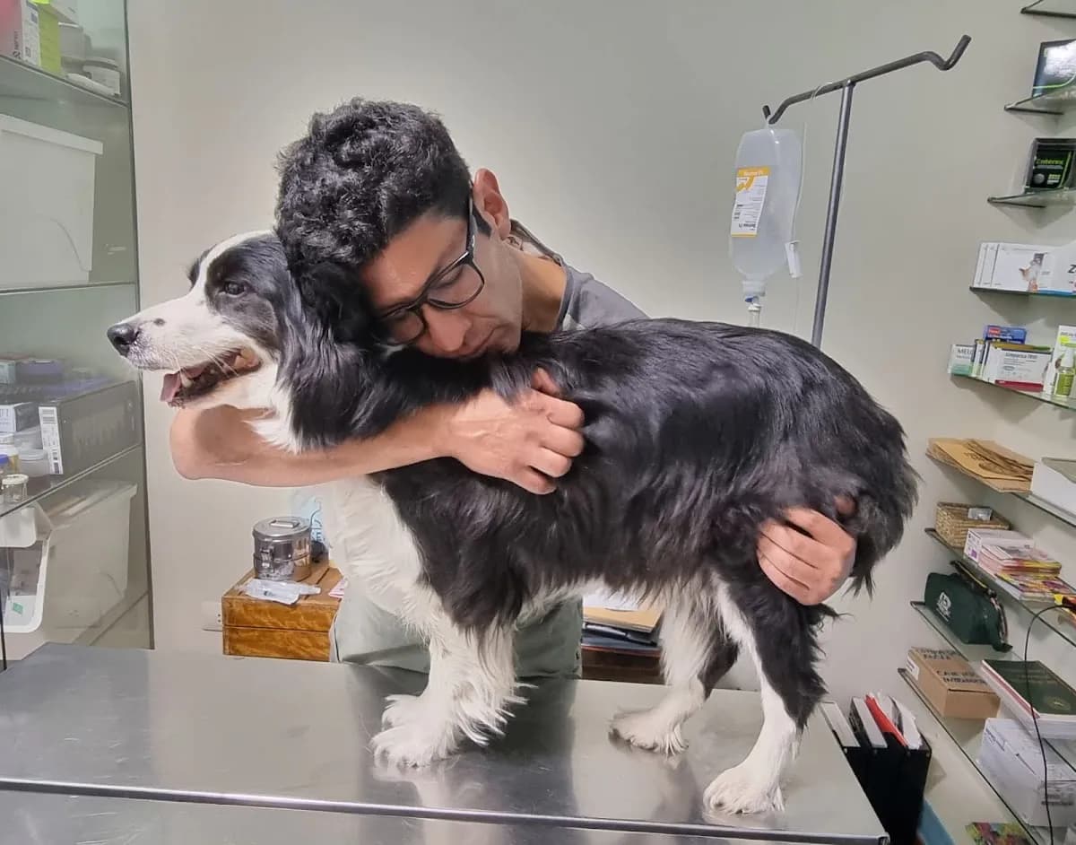 Veterinaria Kusi Wasi