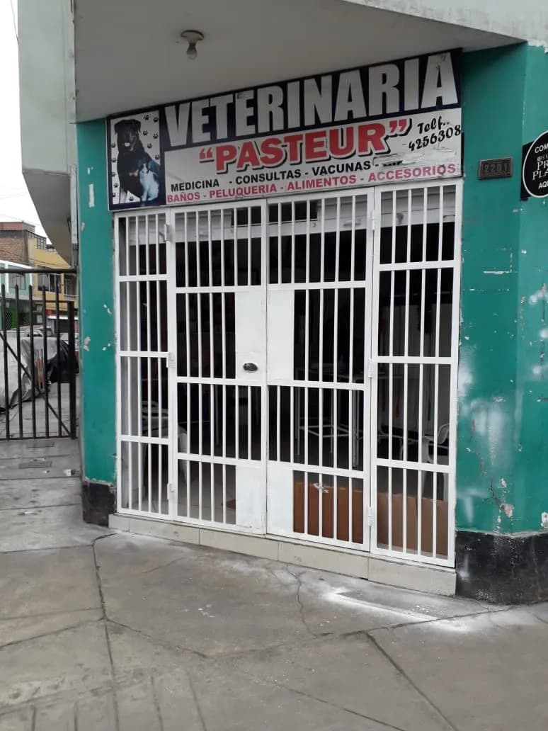 Veterinaria Pasteur