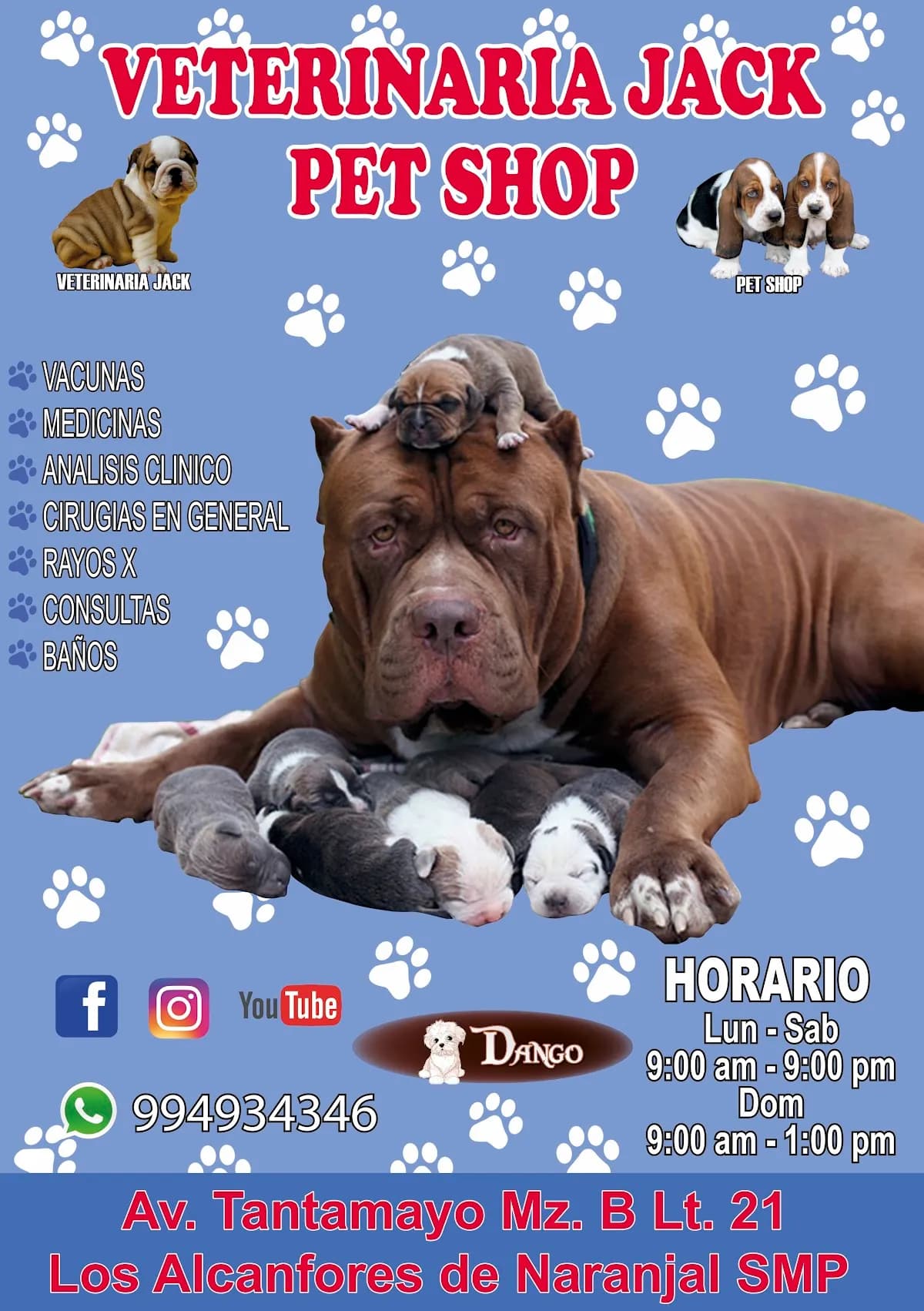 Veterinaria Jack