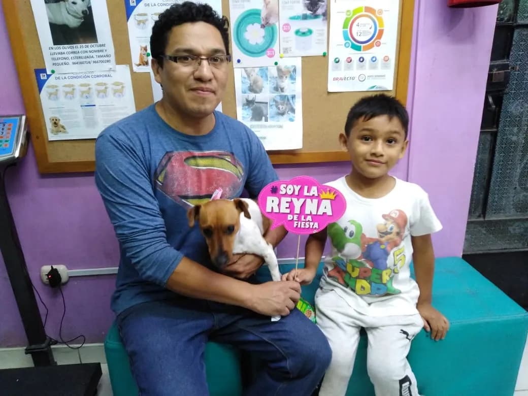 Veterinaria PetyLab