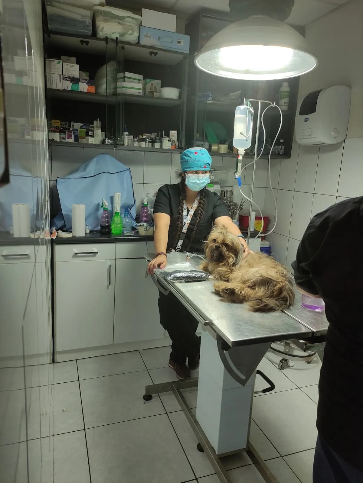 Veterinaria Hachi Pets