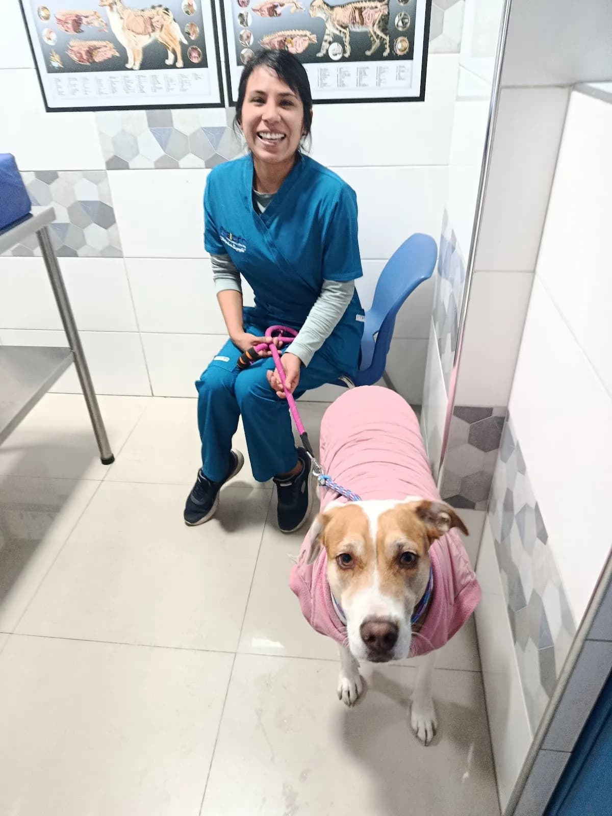 Alerta Vet Pro