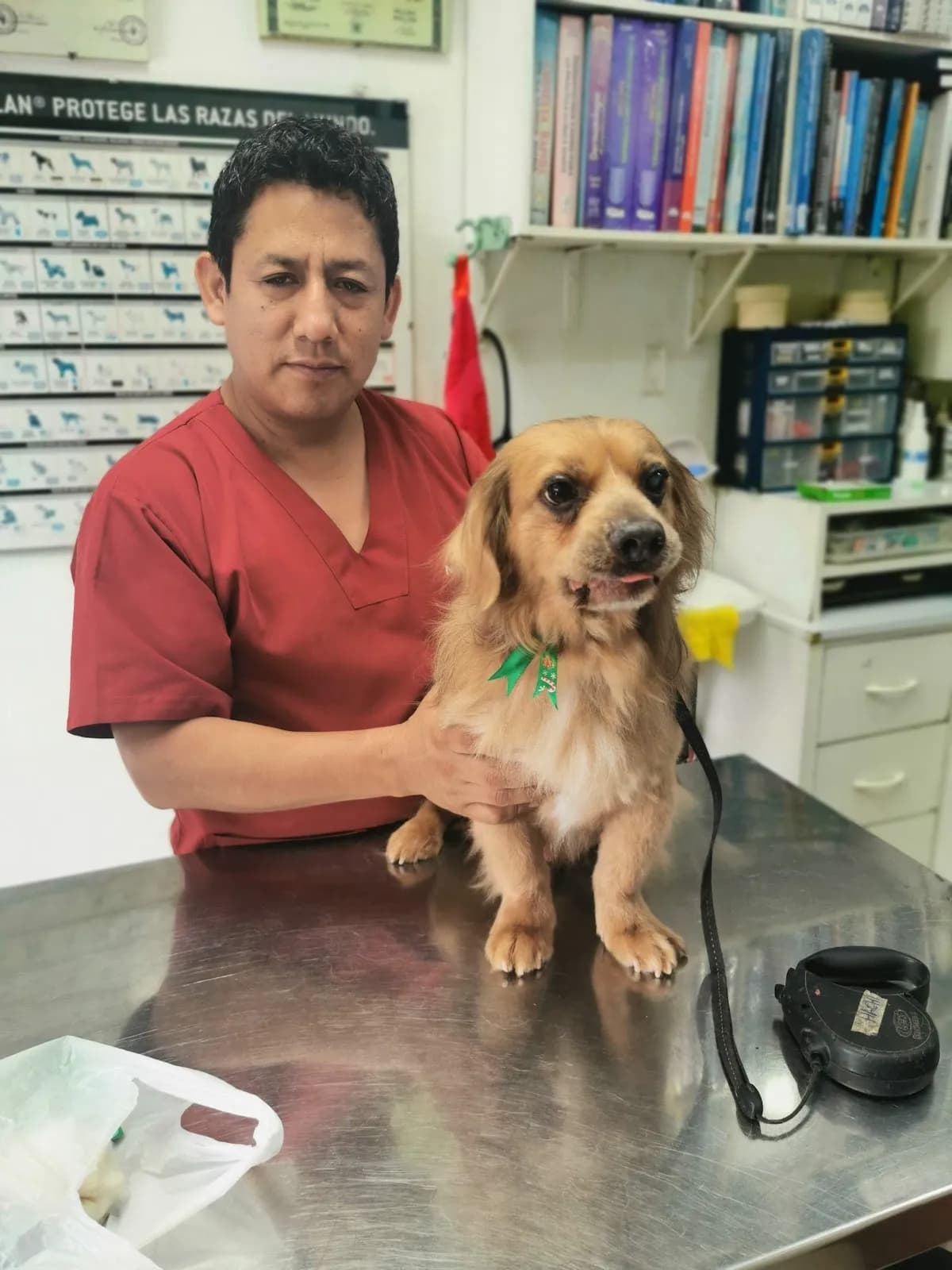 Veterinario Leon
