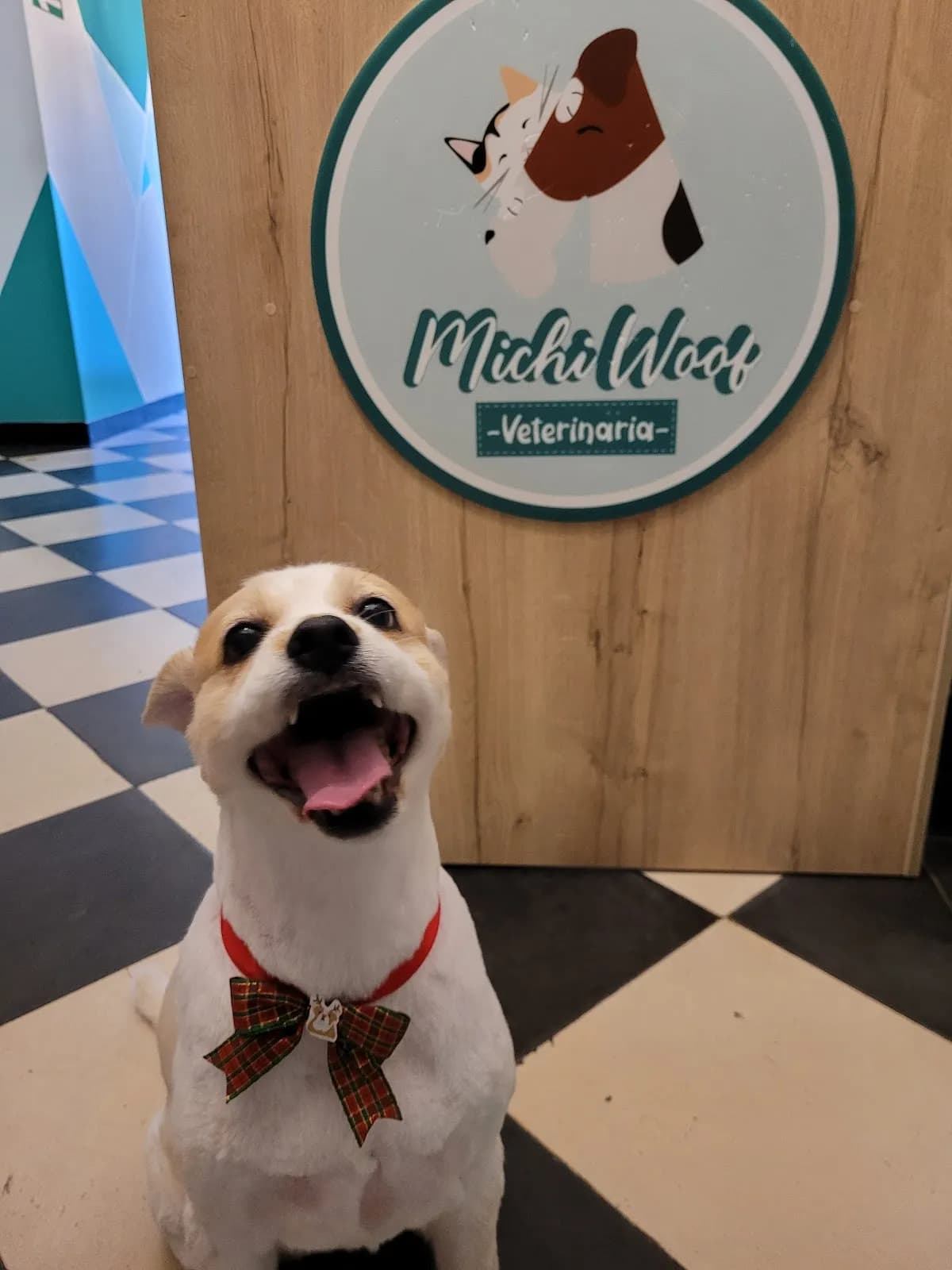 Veterinaria Michi Woof
