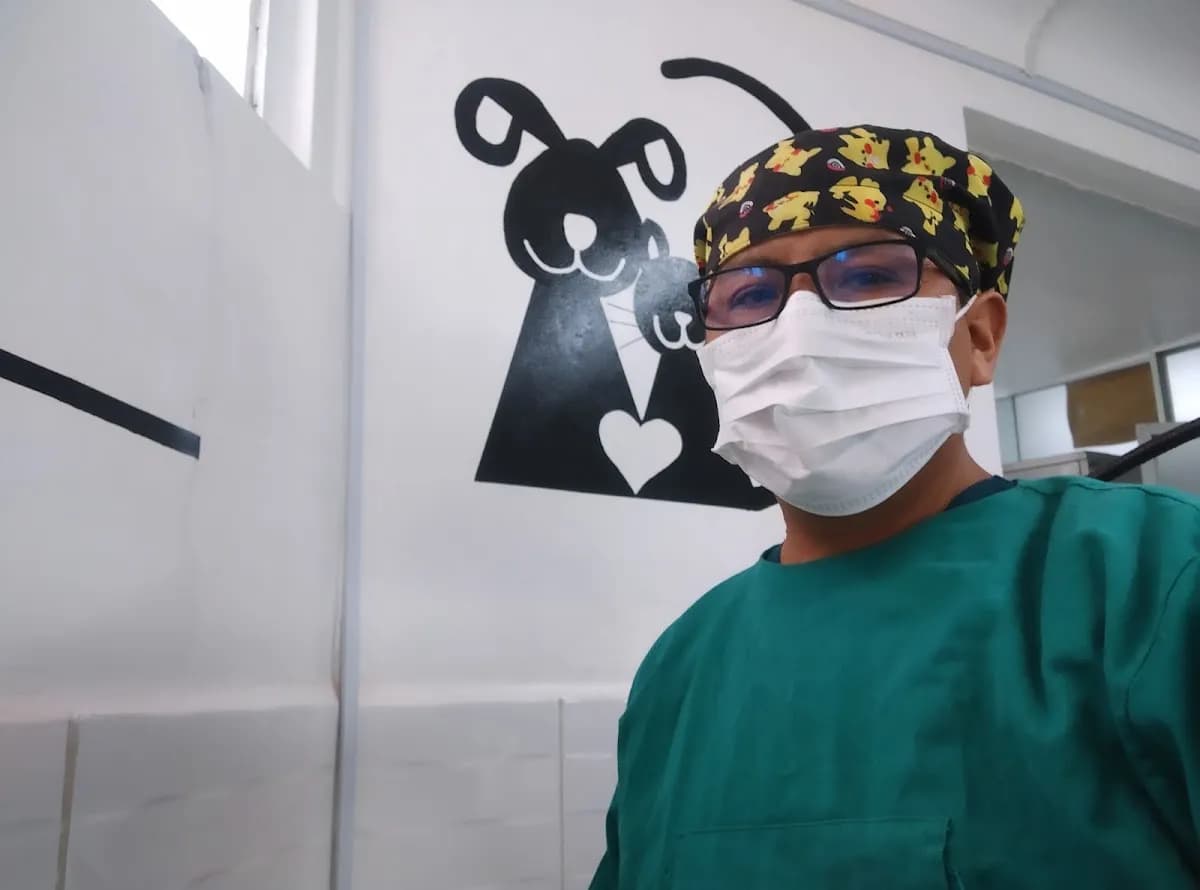 Clinivet Mascotas
