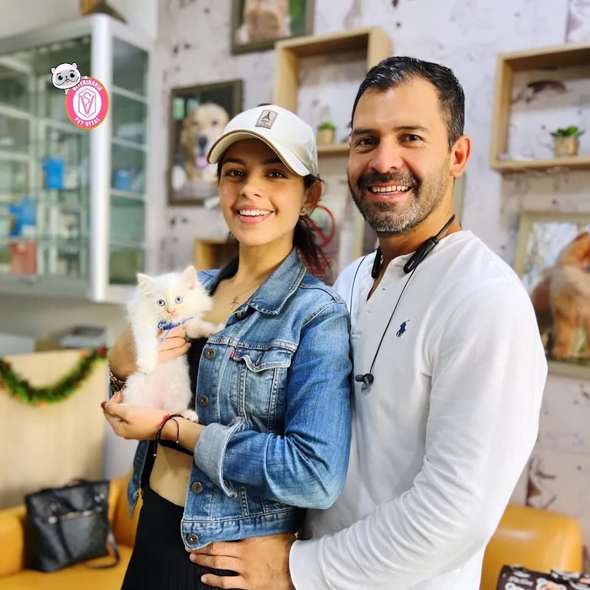 Pet Vital Cats