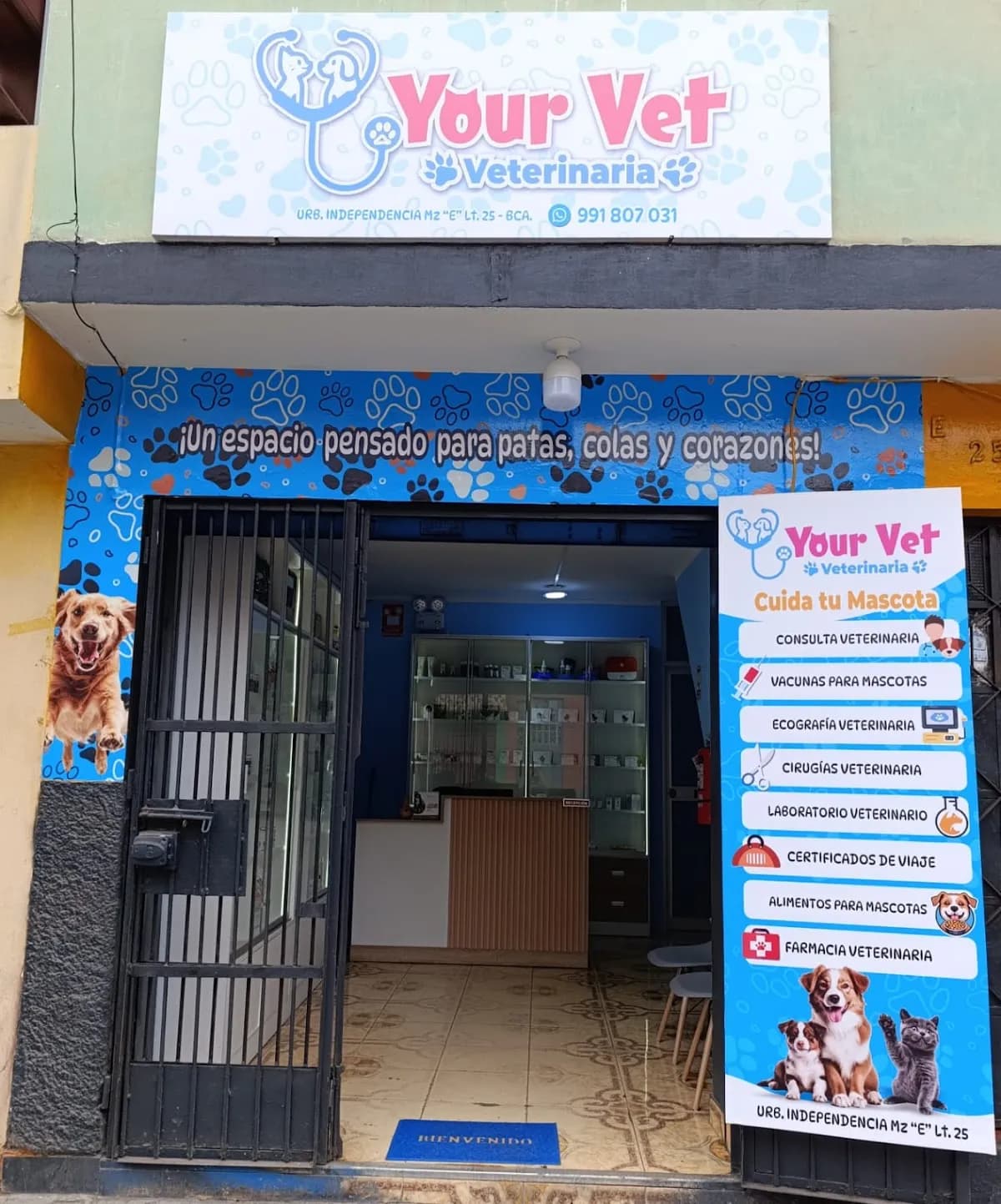 VETERINARIA YOUR VET