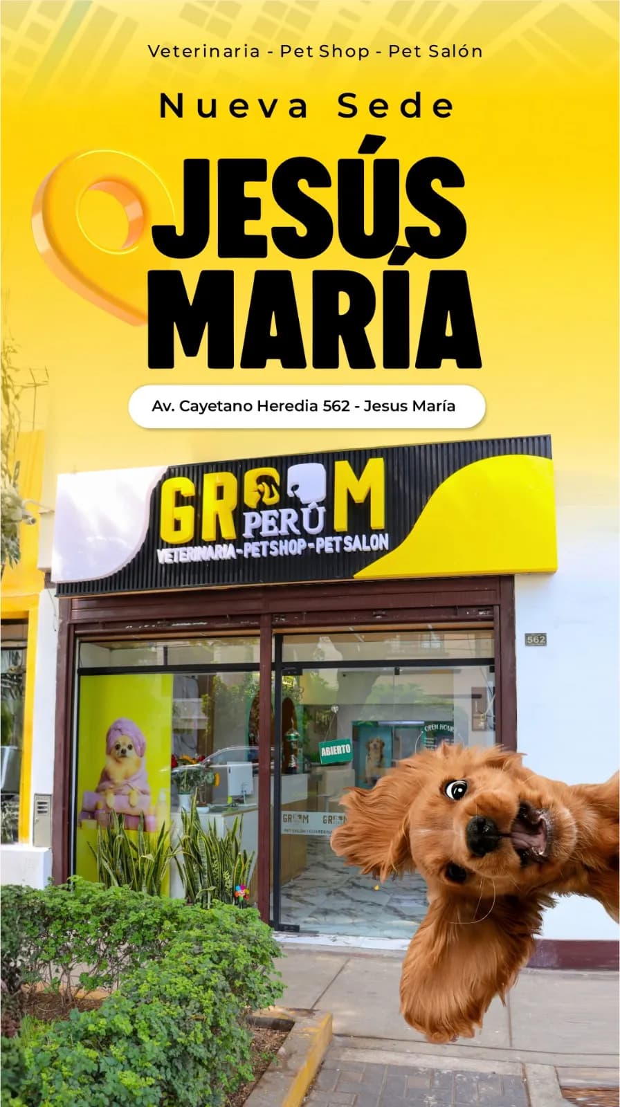 Veterinaria Groom Peru