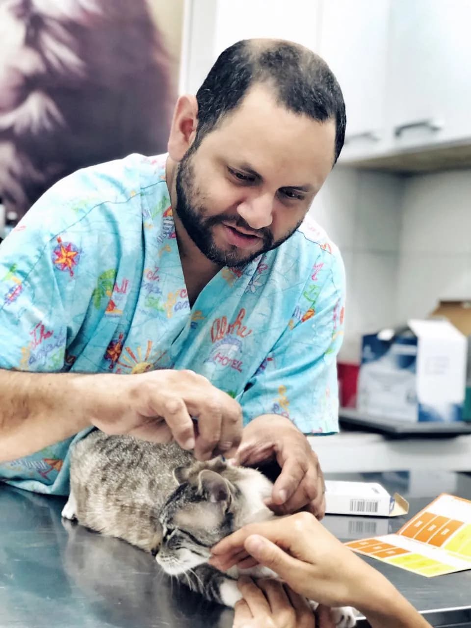 Veterinaria Pancanvet