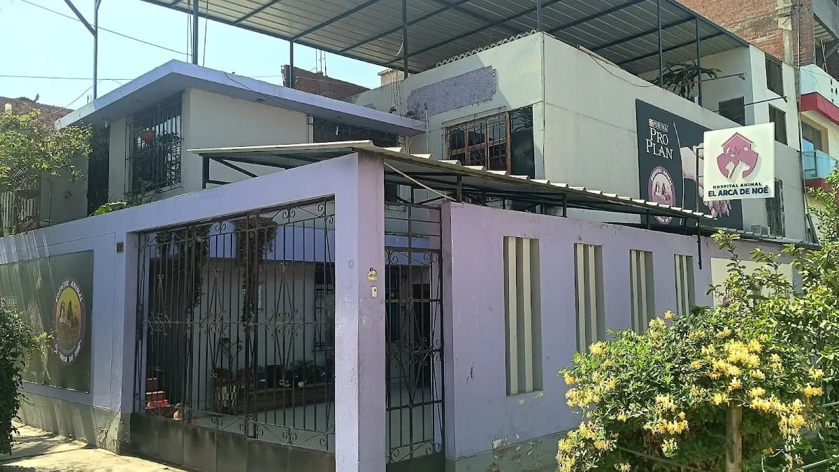 El Arca de Noe