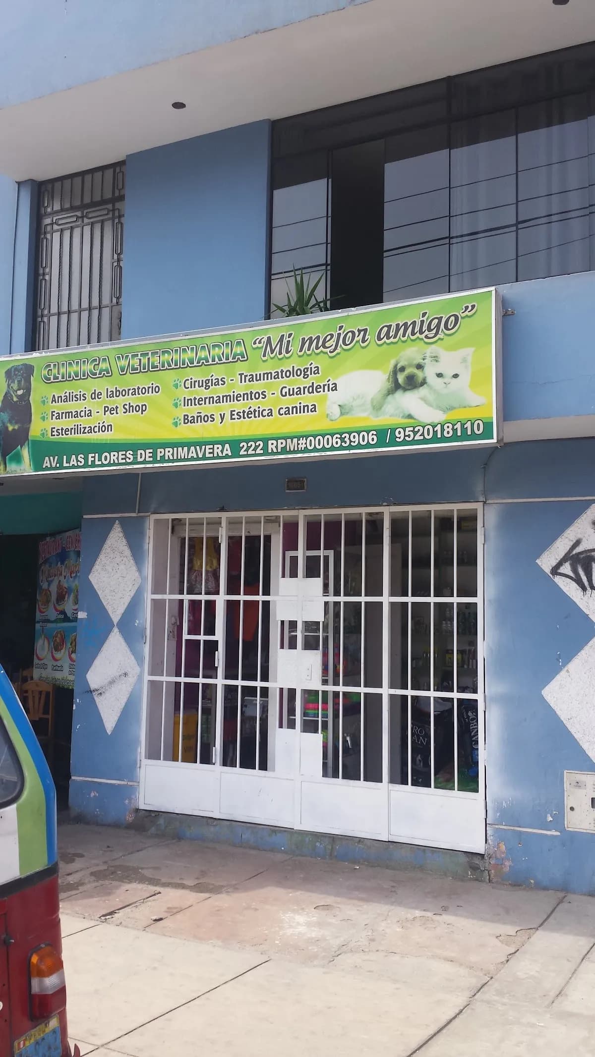 Mi Mejor Amigo