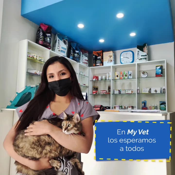 My Vet