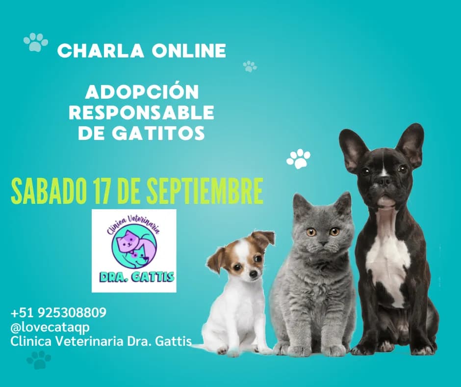 Dra. Gattis