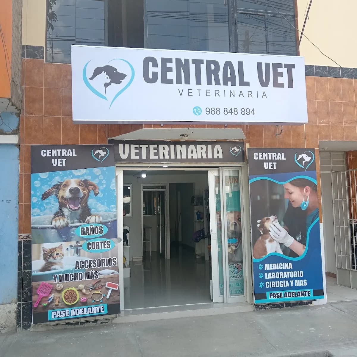 CENTRAL VET