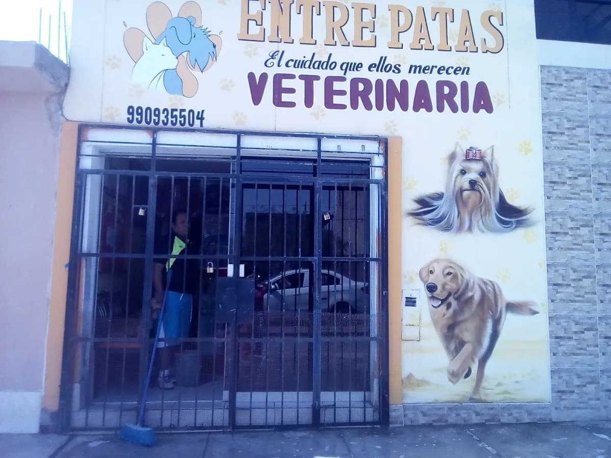 Entre Patas