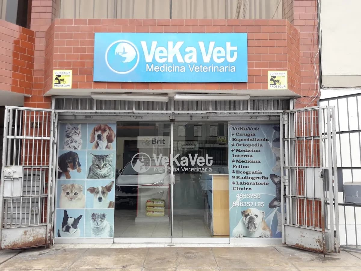Vekavet