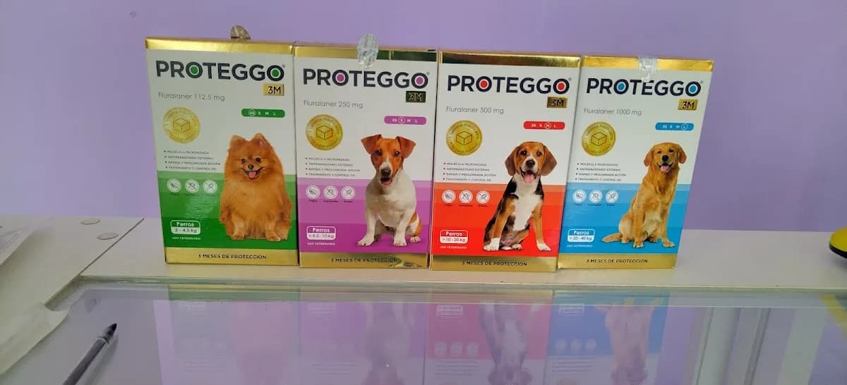 Veterinaria Nina