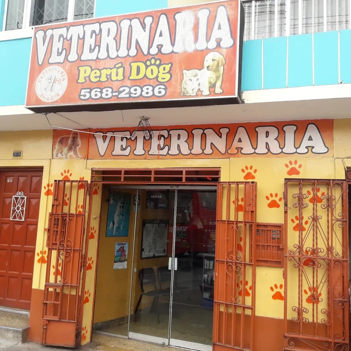 Veterinaria Peru Dog