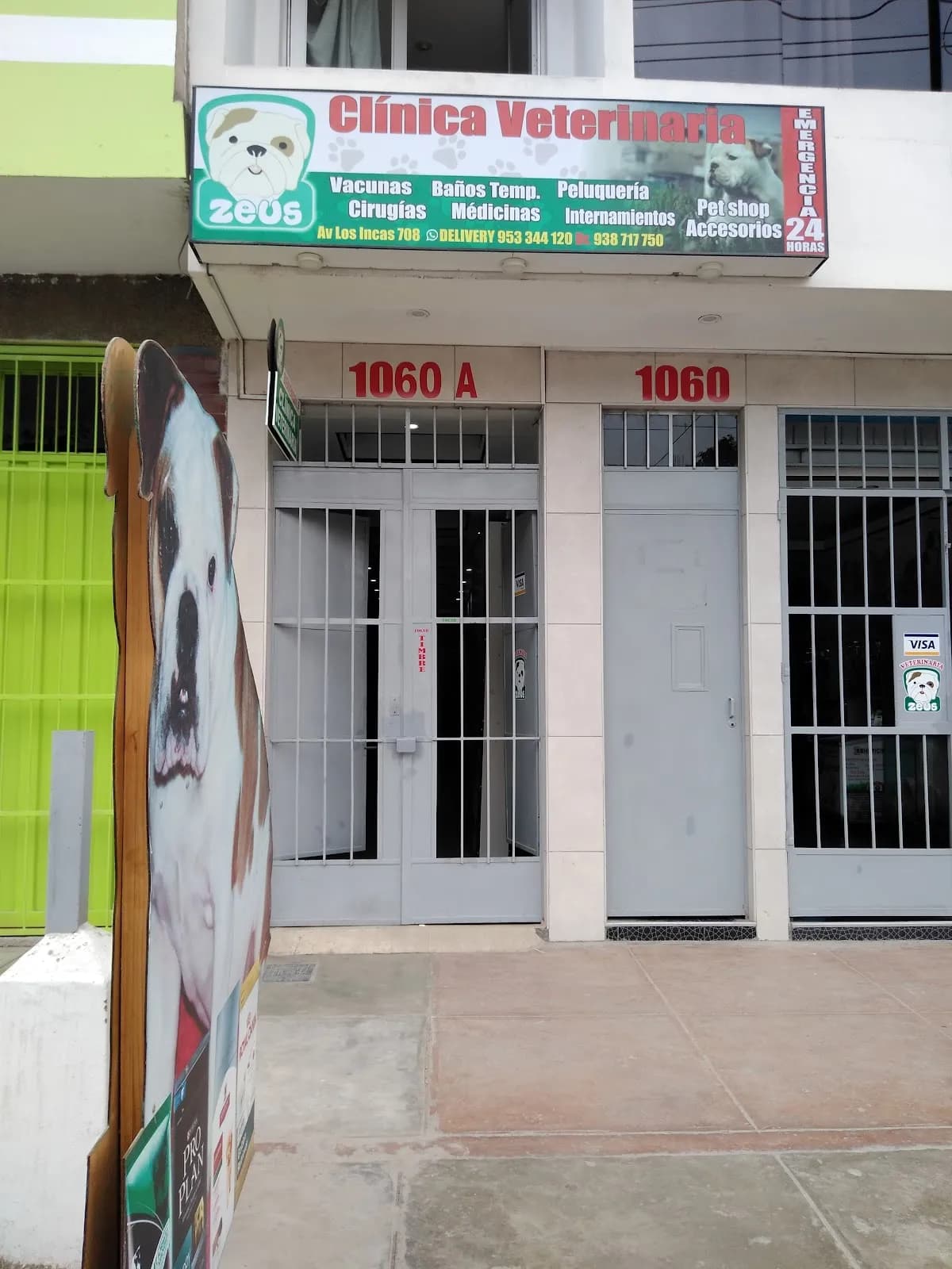 Veterinaria zeus