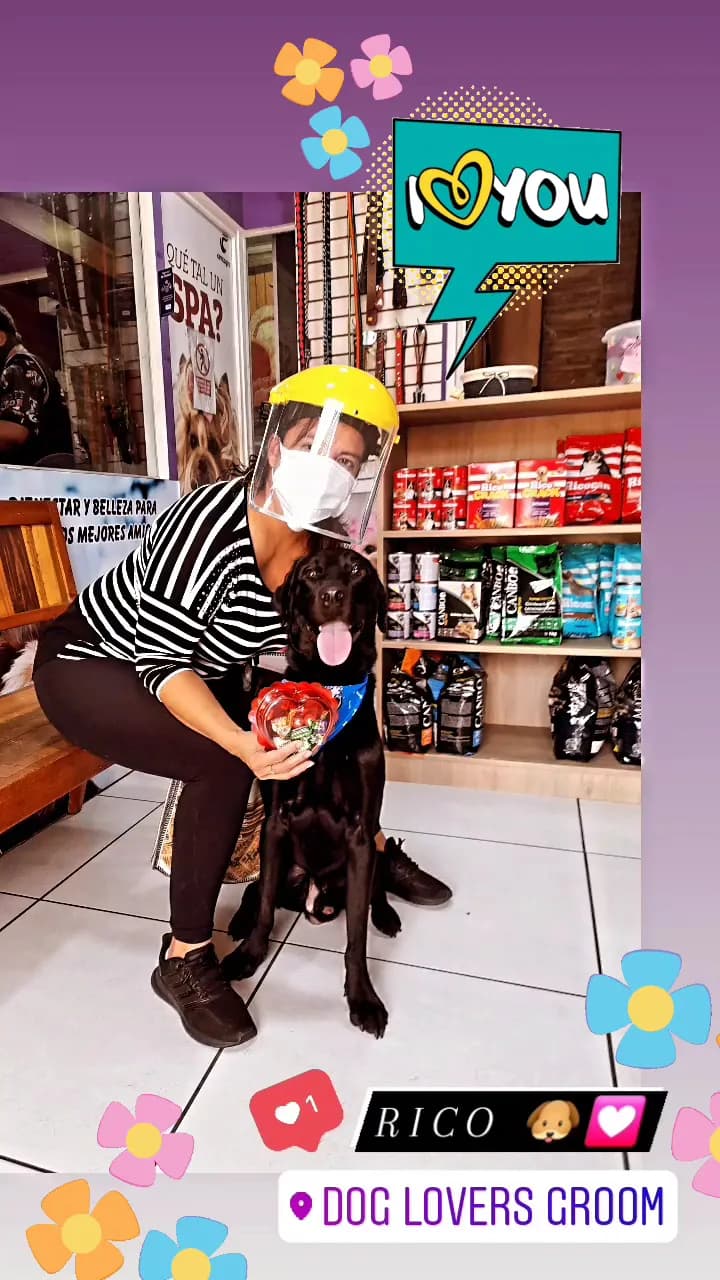 Dog Lovers Groom