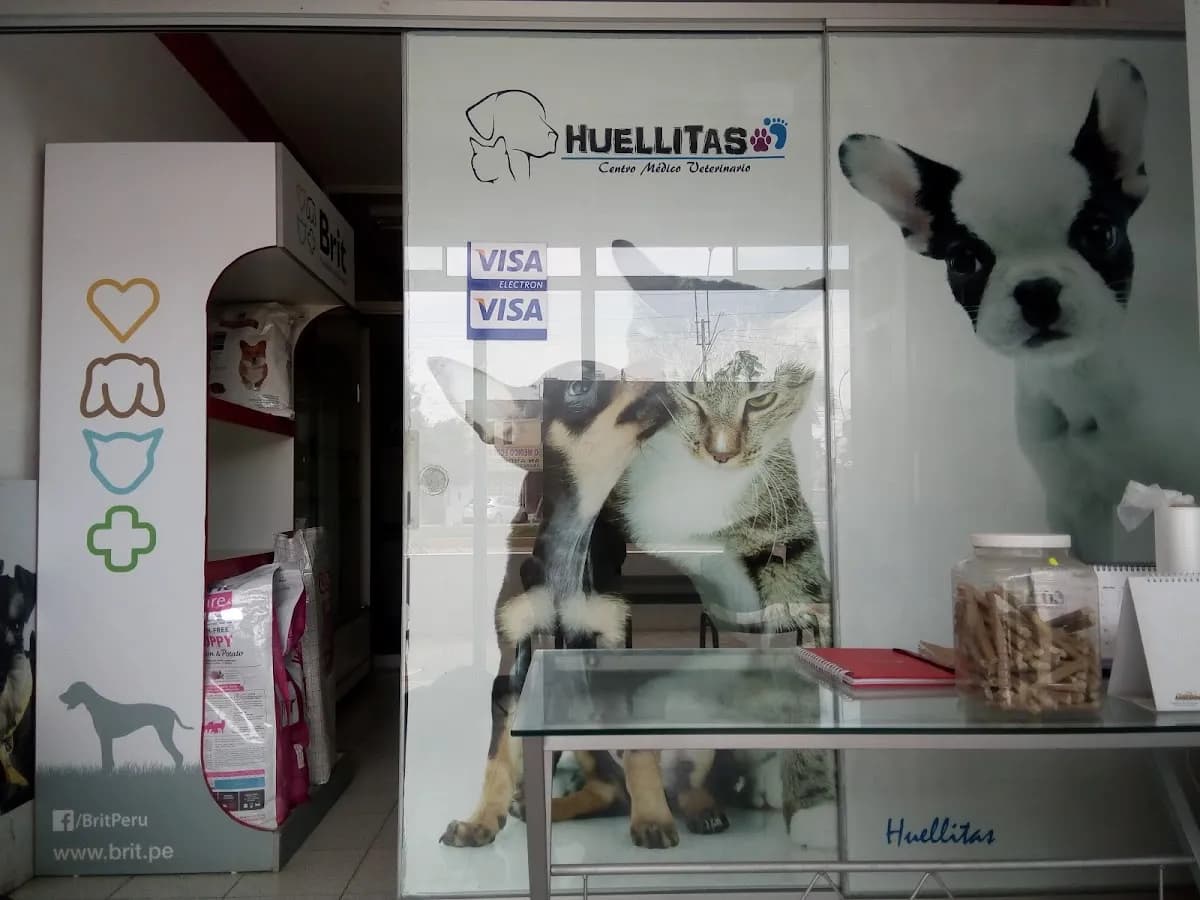 Huellitas