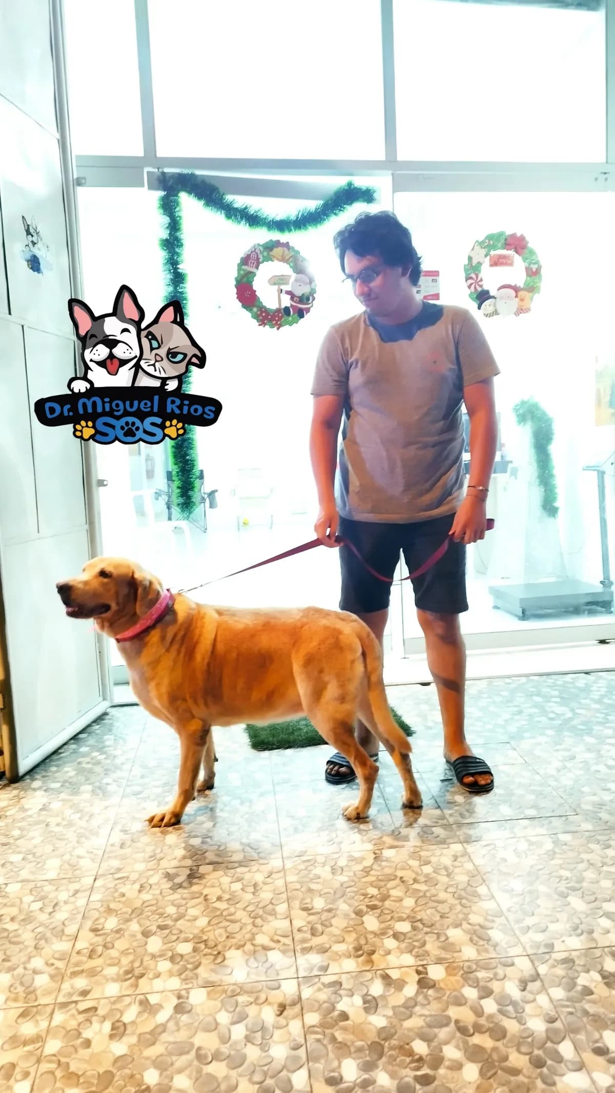 Veterinaria