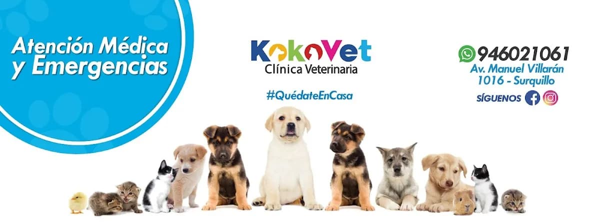 Veterinaria kokovet
