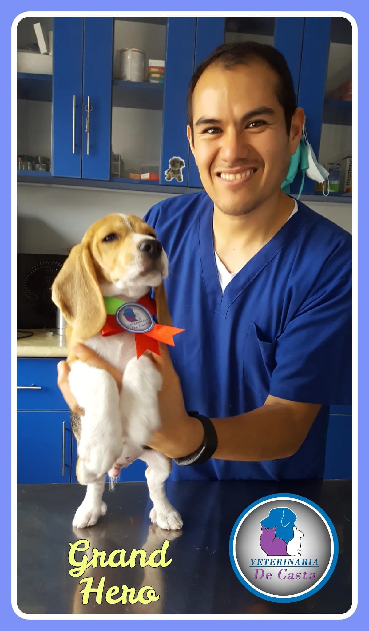 Veterinaria De Casta