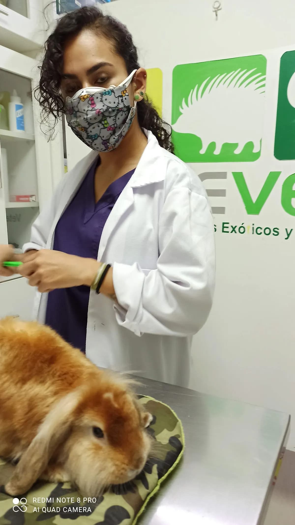 Vale Vet