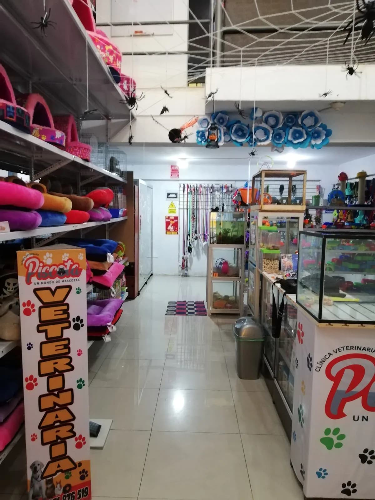 Piscota