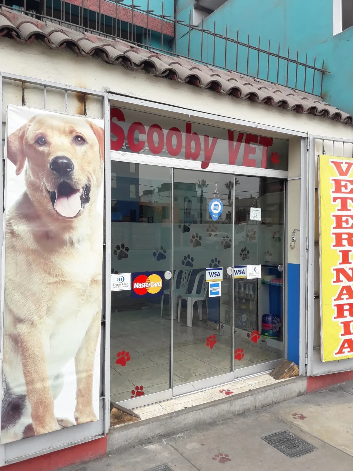 Veterinaria Scooby Vet