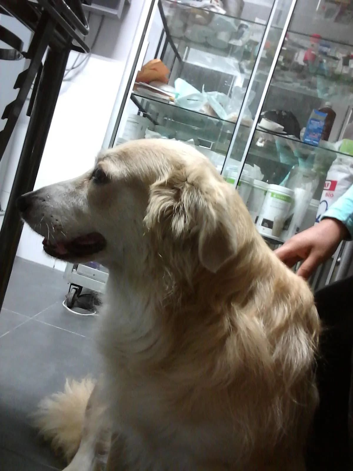 Veterinaria Chip's EIRL