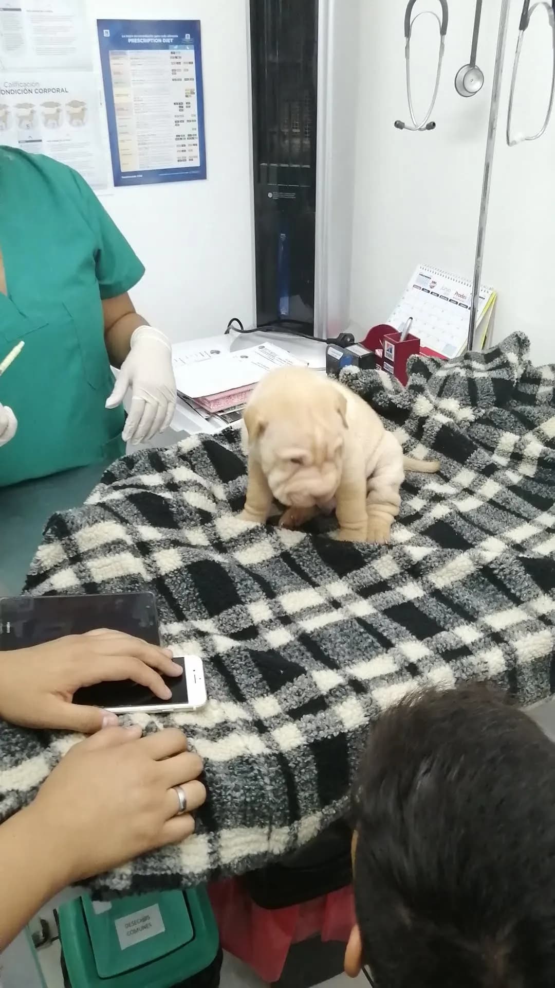 Pet's Medic