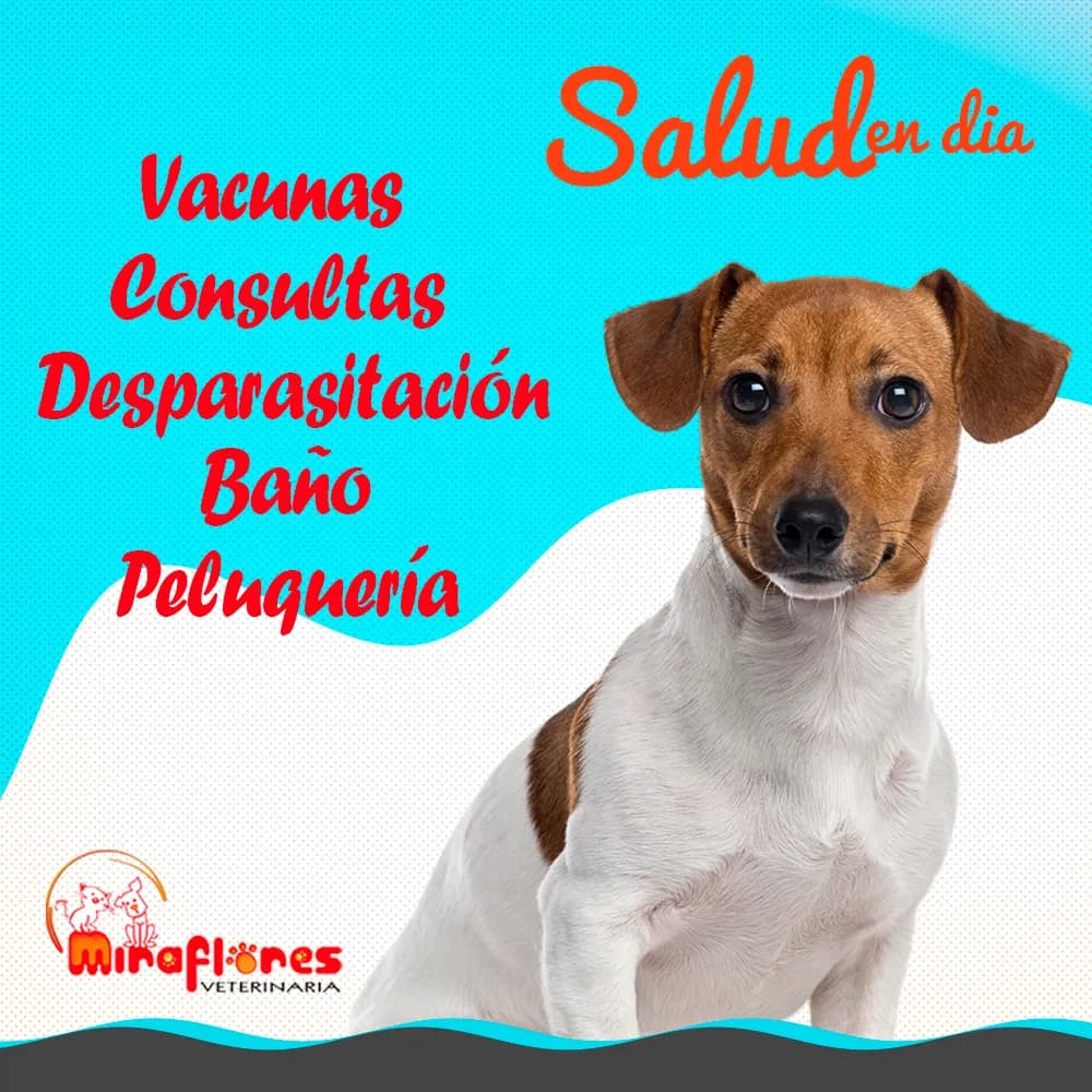 Veterinaria Miraflores