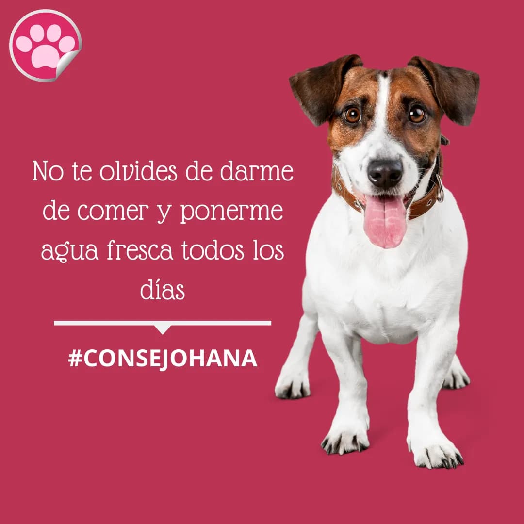 Ohana Vet Store