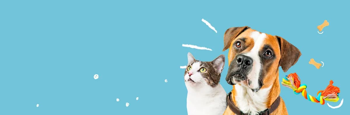 SOS Veterinaria