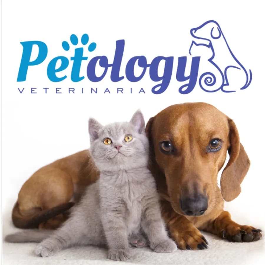 Veterinaria Petology
