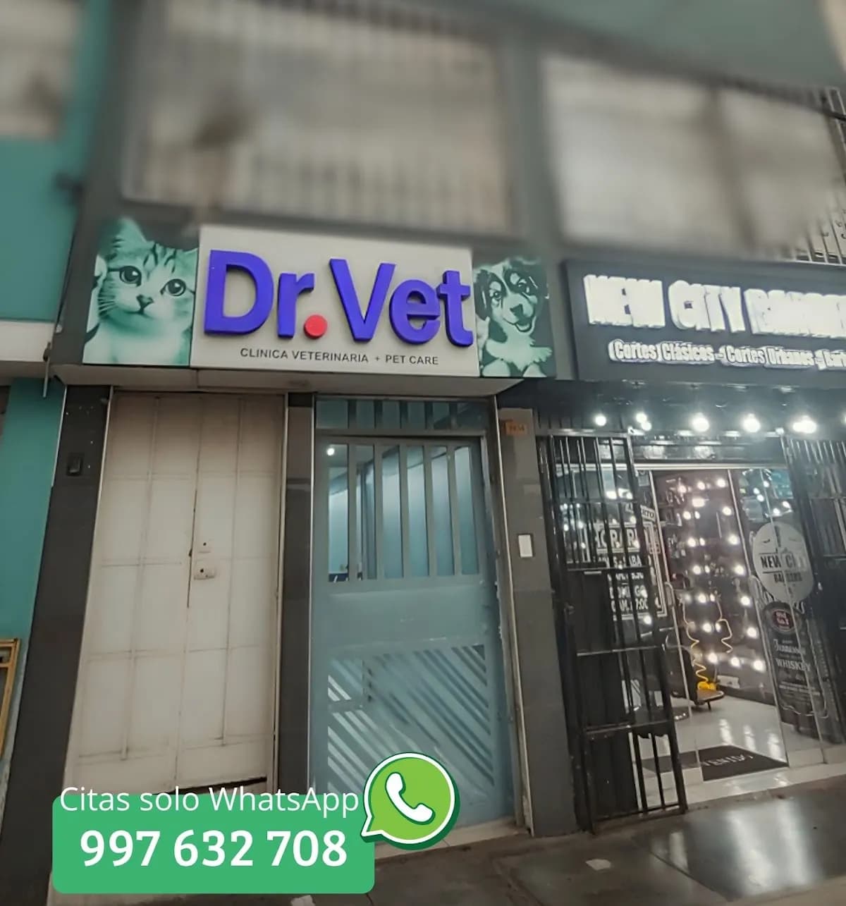 Dr. Vet 🐾 veterinaria