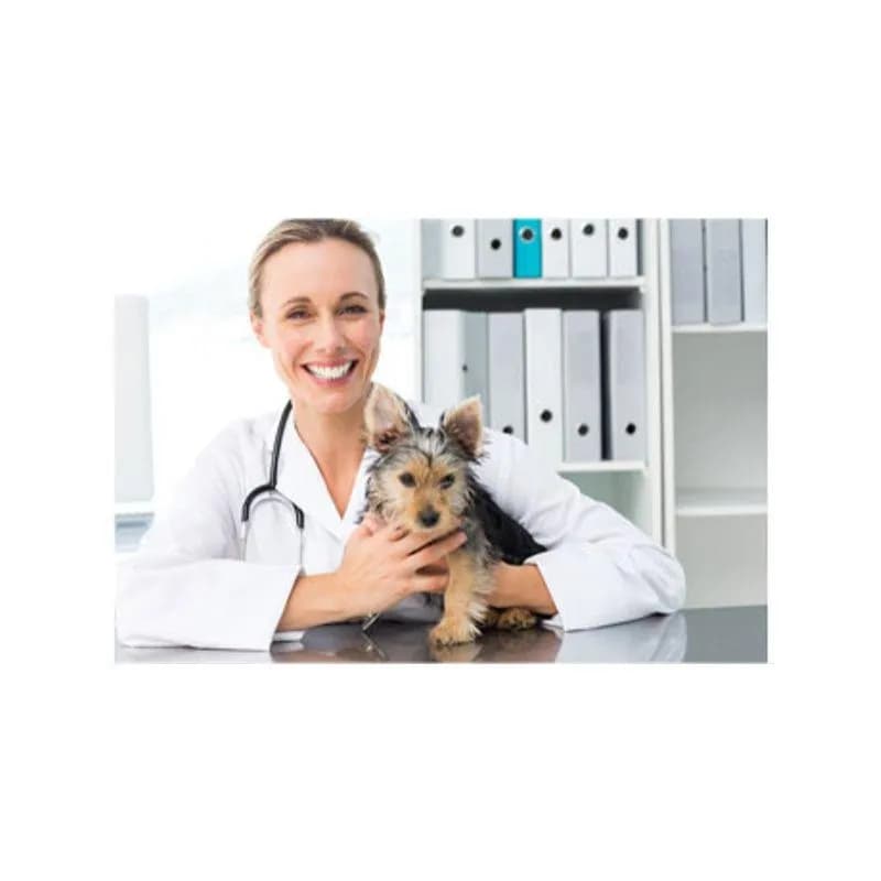 ANIMAL CLINIC PERU