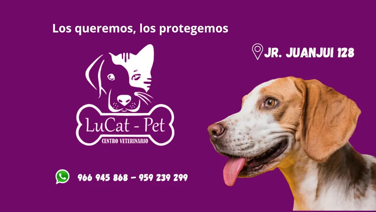 VETERINARIA LUCAT PET