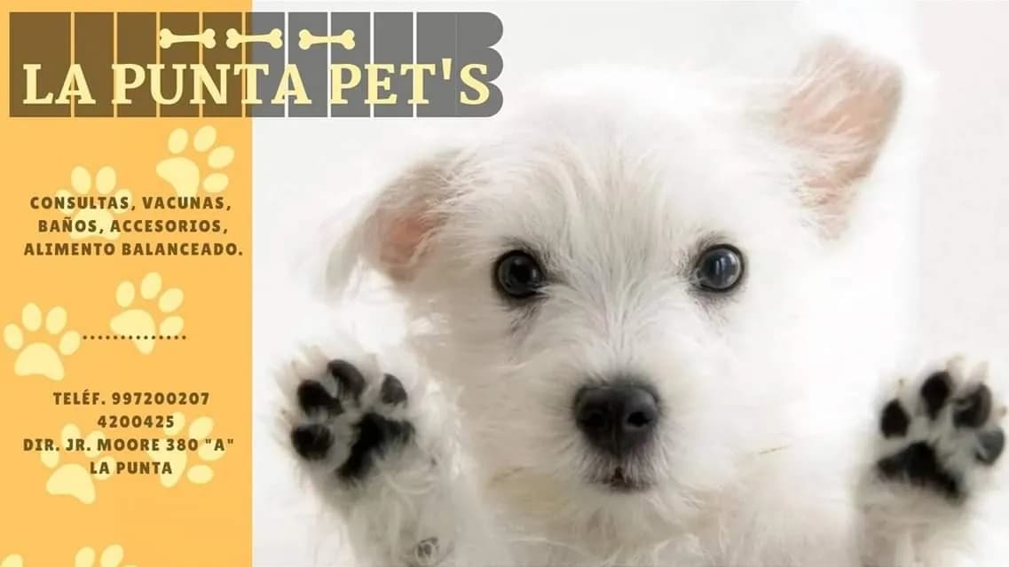 La Punta Pets