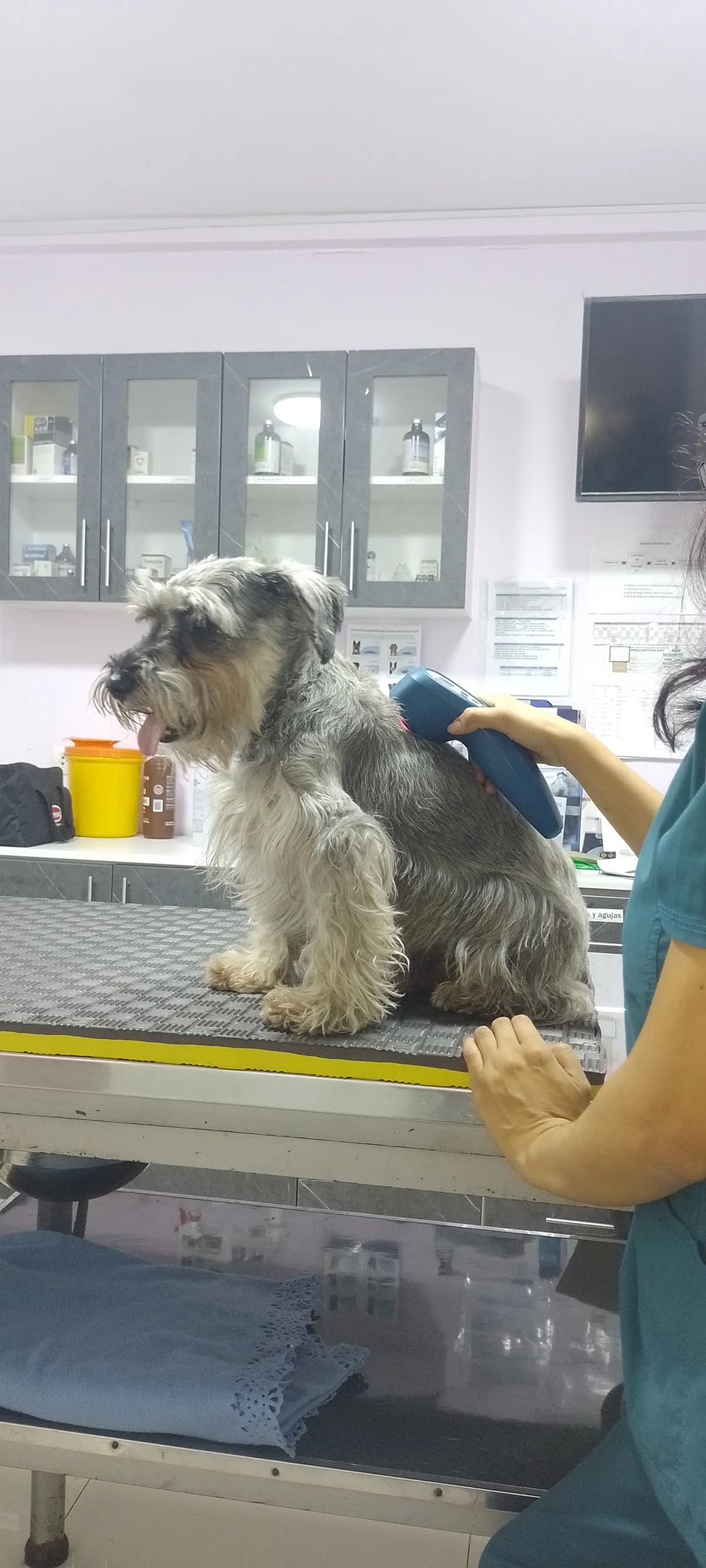 Veterinaria Cossio